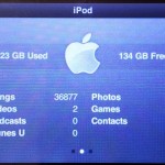 384Gb iPod About Screen